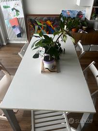 Tavolo Allungabile Spagnol 80x120 o 80x160