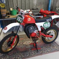 Villa Cross - 1981