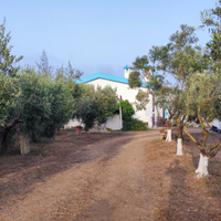 Casa vacanze L'ulivo