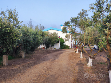 Casa vacanze L'ulivo