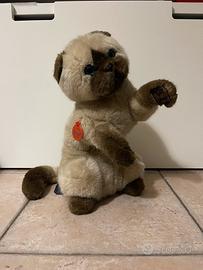 Gatto siamese Trudi Ritratti