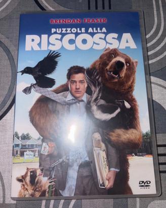 Dvd puzzole alla riscossa