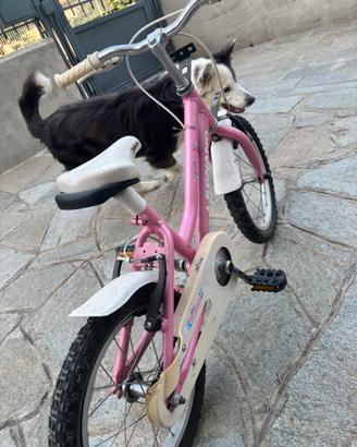 Bicicletta bimba Legnano 16” rosa