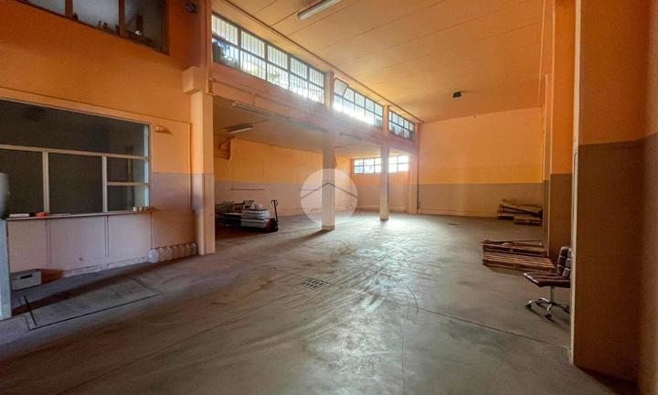 CAPANNONE A PONTIROLO NUOVO