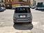 Immagine 7