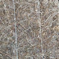 circa 25 ballette fieno