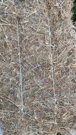 circa 25 ballette fieno