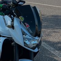 Cupolino z750
