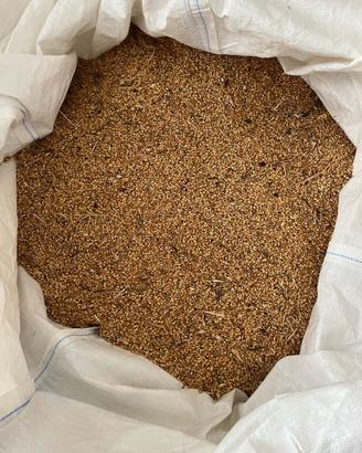 Sementi e paglia Senatore Cappelli