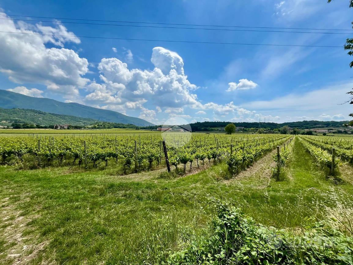 TER. AGRICOLO A CAPRINO VERONESE - Vista 2