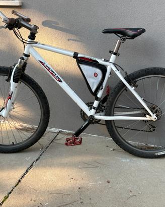 Bici mountain bike
