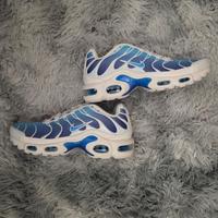 Nike Air Max Plus TN Blu Sfumate