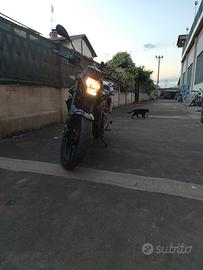 Benelli bn 125
