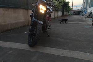 Benelli bn 125