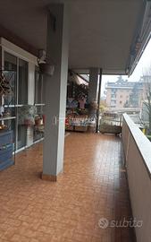 trelocali con terrazzo e box