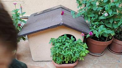cuccia per cani