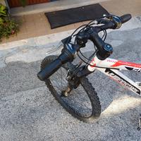 bici mountain bike misura 24
