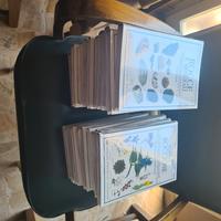 la biblioteca della natura