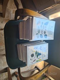 la biblioteca della natura