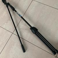 Asta telescopica "Quik Lok"