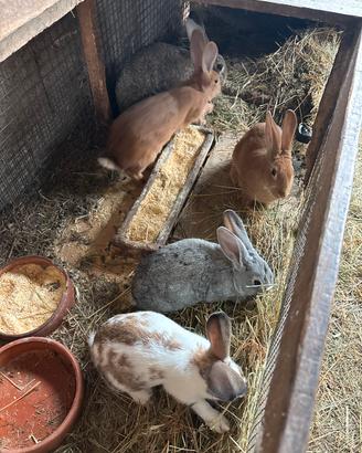 Mamma con i piccoli