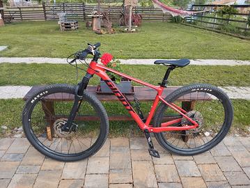 bici muscolare mtb