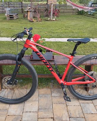 bici muscolare mtb