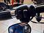 Immagine 21