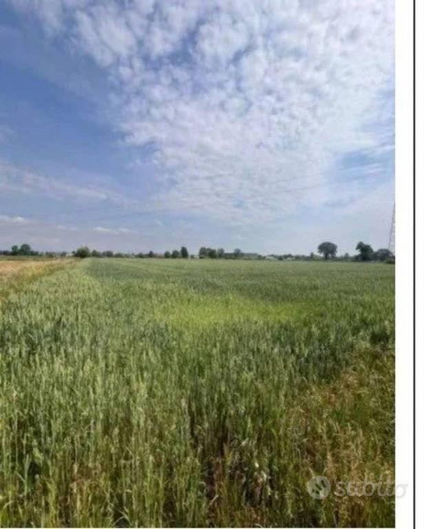 Immobile in asta di 15080 m² a Remedello - Vista 3