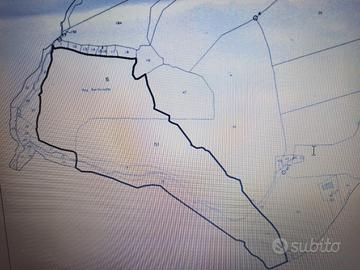 Fondo agricolo 37 ettari Monte Bianchinu