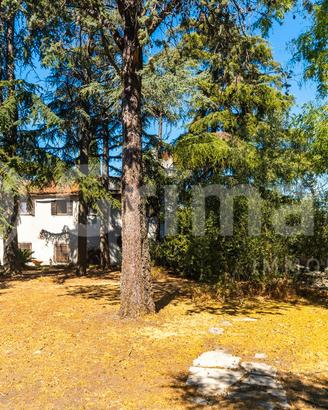 Villa singola Ciampino [VG17/26VRG]