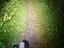 Immagine 4