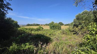 Terreno di 22000 m² a Tarquinia