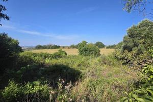 Terreno di 22000 m² a Tarquinia