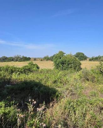 Terreno di 22000 m² a Tarquinia