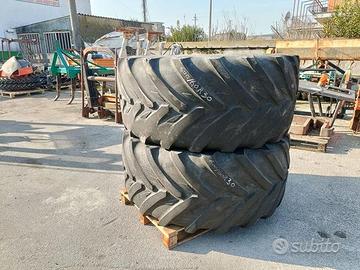 Gomme varie con cerchio o senza