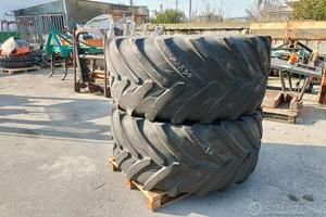 Gomme varie con cerchio o senza