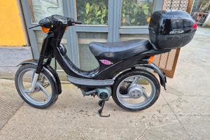 piaggio velofax 50