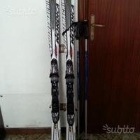 Sci nordica