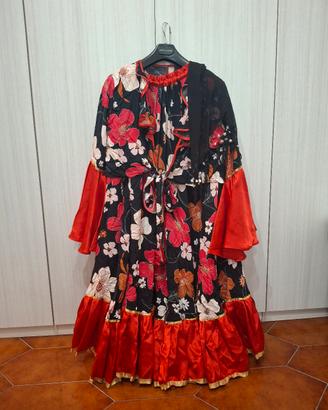 Vestito da spettacolo 