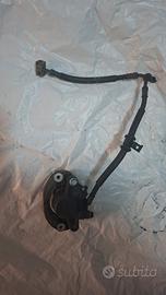 Pinza freno posteriore SH 300  (07/10)