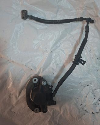 Pinza freno posteriore SH 300  (07/10)