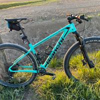 Bici Bianchi Methanol
