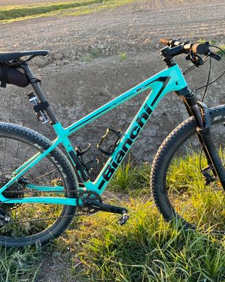 Bici Bianchi Methanol