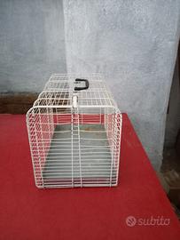 trasportino gatto