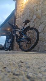 bici da uomo