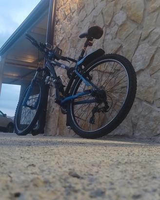 bici da uomo