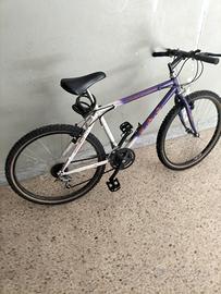 Bicicletta adulti