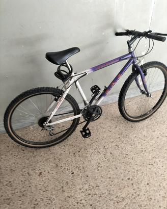Bicicletta adulti