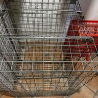 Attrezzatura per mercato